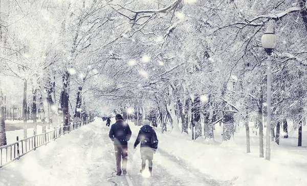 Paesaggio Forestale Invernale Alberi Alti Sotto Manto Neve Gennaio Giornata — Foto Stock