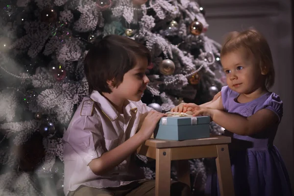 在圣诞树前穿着漂亮衣服的孩子 等待新的一年 — 图库照片