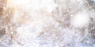 Winter Park 'ta. Karlı havada manzara manzarası. Ocak Günü.