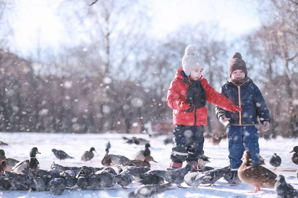 Děti Krmí Ptáky Zimě Parku — Stock fotografie