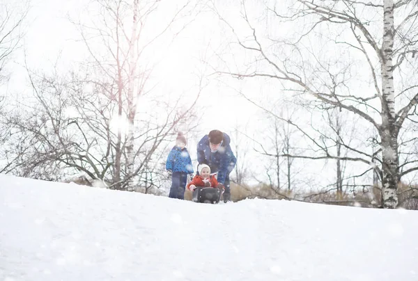 Gyerekek Parkban Télen Gyerekek Hóval Játszanak Játszótéren Gyerekek Szánkóznak Nagyapával — Stock Fotó