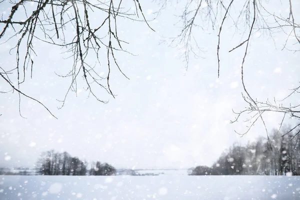 Winterlandschaft Aus Feldern Und Straßen Schnee — Stockfoto