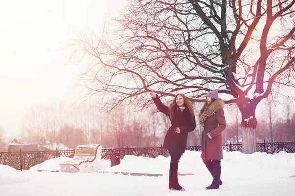 Una Joven Parque Invierno Paseo Vacaciones Navidad Bosque Invierno Chica — Foto de Stock