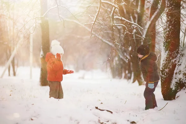 Gyerekek Téli Parkban Játszani — Stock Fotó