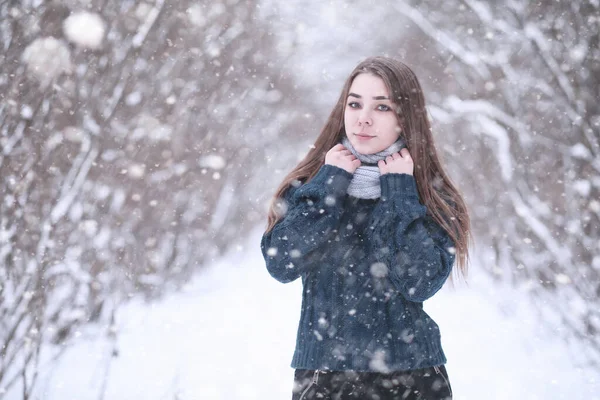 Κορίτσι Χειμερινό Πάρκο Απόγευμα Χιονόπτωση — Φωτογραφία Αρχείου