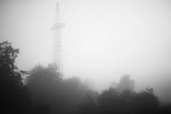 Dimma Sjön Morgon Natur Vatten Och Vit Dimma — Stockfoto