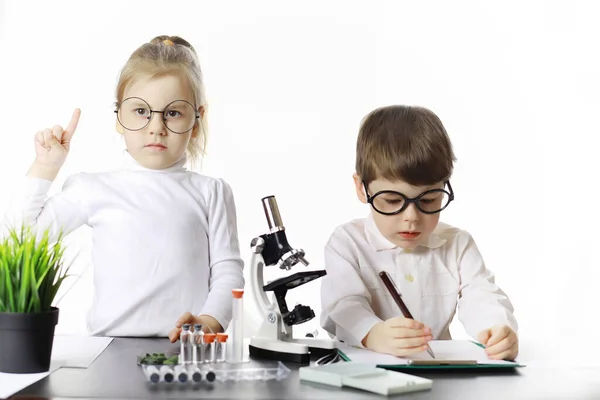 Jóvenes Científicos Químicos Orientación Vocacional Infantil Elección Profesión Médico Asistente —  Fotos de Stock