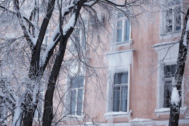Kış orman manzarası. Kar altında uzun ağaçlar. Ocak ayının soğuk günü parkta.