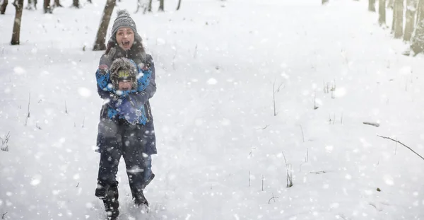 Kar Altında Kış Parkı Şehir Parkında Kar Fırtınası Bütün Aileyle — Stok fotoğraf
