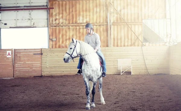 Jonge Mensen Opleiding Van Een Paard Een Houten Arena — Stockfoto