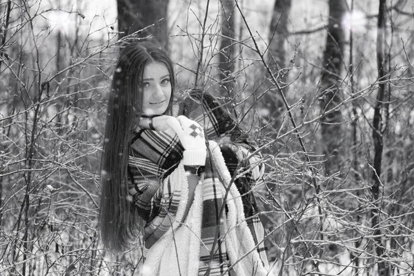 Egy Lány Havas Mezők Erdők Téli Felhős Napján — Stock Fotó