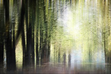 canlı bulanık sonbahar arkaplanı 