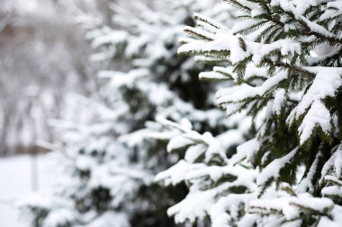 Kırsal alanların kış manzarası ve kardaki yollar