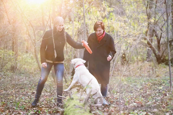 Sonbahar parkında yürüyüş yapan kadınlar.