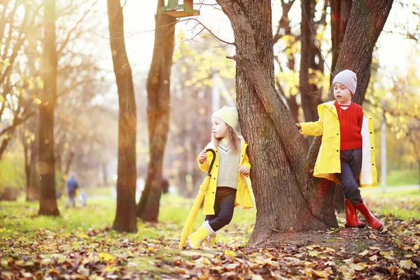 Çocuk Sonbahar Park Walk — Stok fotoğraf