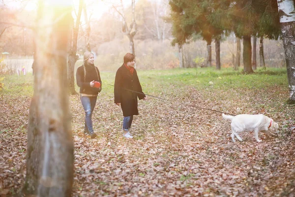 Sonbahar parkında yürüyüş yapan kadınlar.