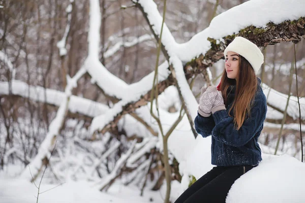Uma Menina Parque Inverno Uma Caminhada Férias Natal Floresta Inverno — Fotografia de Stock