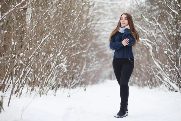 Kış parkında yürüyüş yapan genç bir kız. Kış ormanlarında Noel tatili. Kız parkta kışın tadını çıkarıyor.