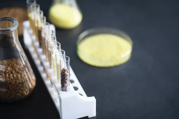 Tubos Ensayo Con Semillas Plantas Selección Investigación Analizando Granos Semillas —  Fotos de Stock