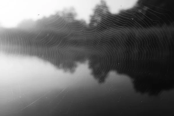 湖中的雾 晨曦中的水和白雾 — 图库照片