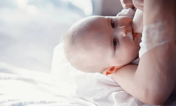 Conceito Maternidade Uma Jovem Mãe Alimenta Seu Bebé Primeira Atração — Fotografia de Stock