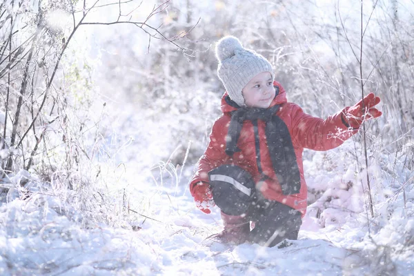Дети Гуляют Парке Первым Снегом — стоковое фото