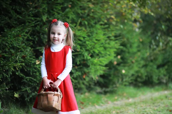 Kırmızı Şapkalı Elbiseli Küçük Bir Kız Parkta Yürüyor Masal Kahramanı — Stok fotoğraf