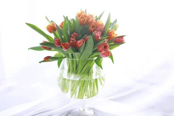 Цветы Весенние Праздники Концепция Домашнего Декора Букет Красивых Тюльпанов Цветочный — стоковое фото