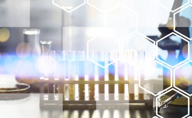 Seçim bitkilerinin tohumlarıyla test tüpleri. Laboratuvarda Tarım Tahılları ve Tohumları İnceleme Araştırması