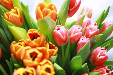 Çiçekler, bahar tatilleri ve ev dekorasyonu konsepti - buket güzel laleler, çiçekli arka plan