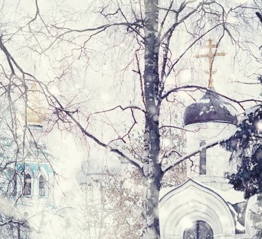 Kış orman manzarası. Kar altında uzun ağaçlar. Ocak ayının soğuk günü parkta.