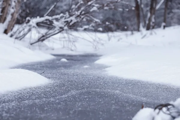 冬の森の風景 雪に覆われた背の高い木 公園で1月の霜の日 — ストック写真