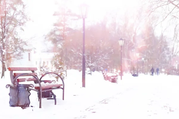 Paesaggio Forestale Invernale Alberi Alti Sotto Manto Neve Gennaio Giornata — Foto Stock