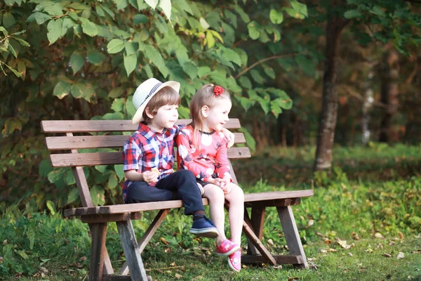 Sonbahar Parkında Yürüyüşe Çıkmış Çocuklar Yaprak Parkta Düşer Aile Düş — Stok fotoğraf