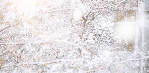 Γουίντερ Παρκ Τοπίο Χιονισμένο Καιρό Ημέρα Ιανουαρίου — Φωτογραφία Αρχείου