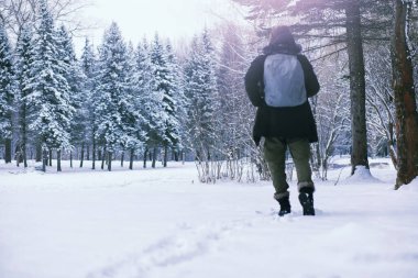 Kış ormanlarında sakallı adam. Çekici, mutlu, sakallı genç bir adam parkta yürüyor..