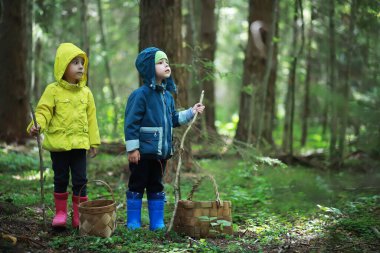 Çocuklar mantar için ormana gider.