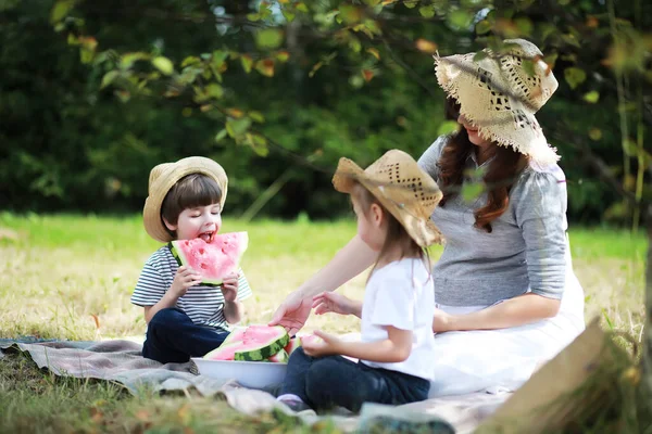 Familia Feliz Con Niños Haciendo Picnic Parque Padres Con Niños —  Fotos de Stock