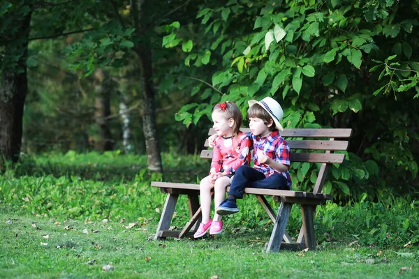 Crianças Para Passeio Parque Outono Folha Cair Parque Família Queda — Fotografia de Stock