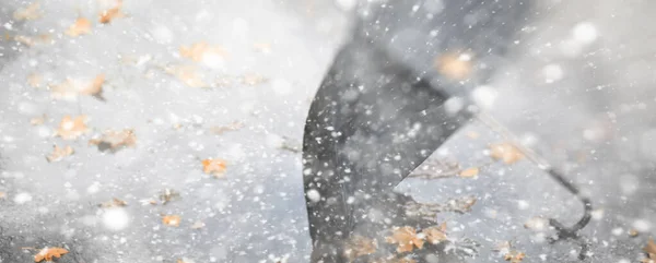 Bakgrund Höst Park Dagarna Den Första Sno — Stockfoto