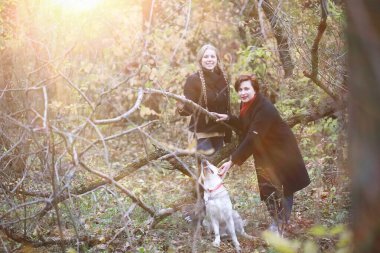 Genç bir kız sonbahar bahçesinde yürüyüşe çıkmış.