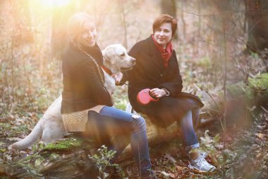 Genç bir kız sonbahar bahçesinde yürüyüşe çıkmış.