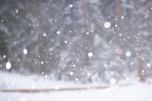 Winterlandschap Sprookjesachtige Schoonheid Besneeuwde Straten Sneeuwval Koeling Toeristische Gebieden — Stockfoto