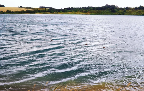 Powierzchnia Wody Konsystencja Wody Fale Jeziorze Wietrzna Pogoda — Zdjęcie stockowe