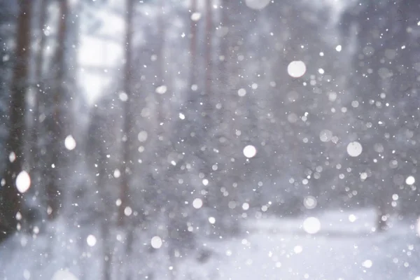 冬の風景 おとぎ話の美しさの雪に覆われた通り 観光地での降雪と冷却 — ストック写真