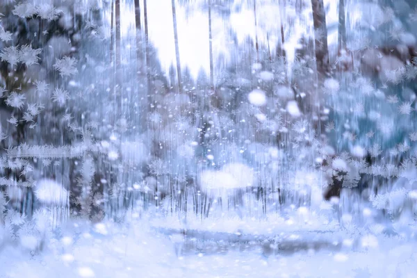 Paisaje Invernal Belleza Cuento Hadas Calles Cubiertas Nieve Nevadas Enfriamiento — Foto de Stock