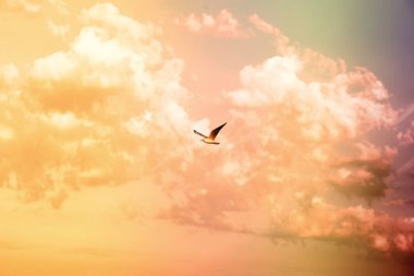 Bulutlu gökyüzü manzarası Pastel renkler