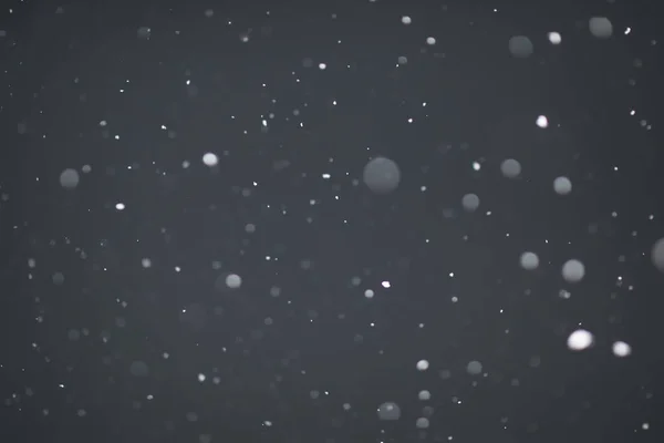 Snow Black Background Snowflakes Overlay Snow Background — Stock Photo, Image