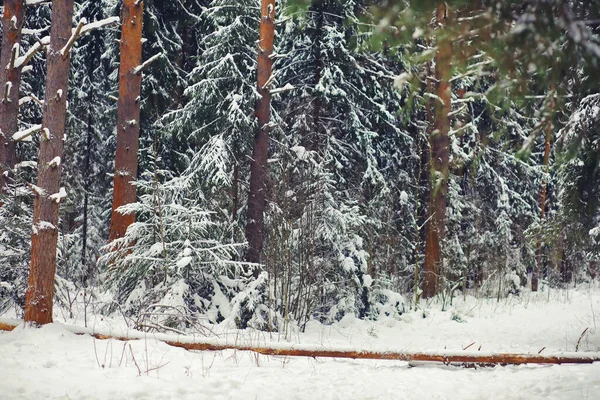 Paisaje Invernal Belleza Cuento Hadas Calles Cubiertas Nieve Nevadas Enfriamiento — Foto de Stock