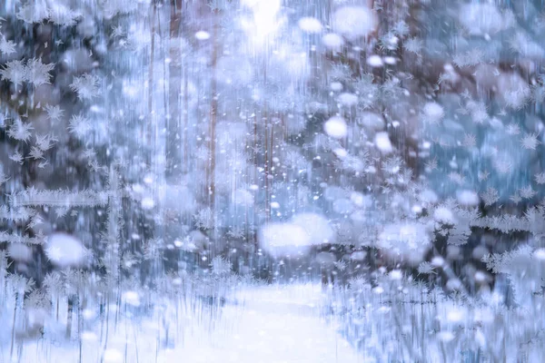Zimowy Krajobraz Piękne Pokryte Śniegiem Ulice Śnieg Chłodzenie Regionach Turystycznych — Zdjęcie stockowe